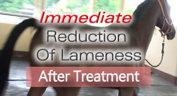 Immediate Reduction Of Lameness For Racehorses With VET-2 Sonotron'